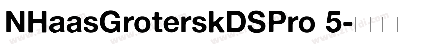 NHaasGroterskDSPro 5字体转换
